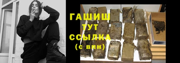 apvp Ельня