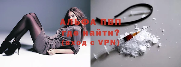 apvp Ельня