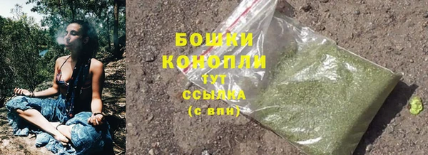 apvp Ельня