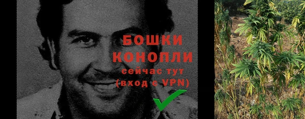 apvp Ельня